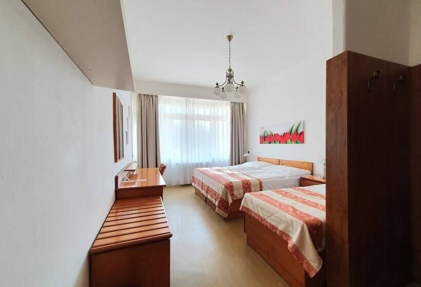 اتاق استاندارد سه تخته با سرویس بهداشتی مشترک, Pension Jana   Domov Mládeže