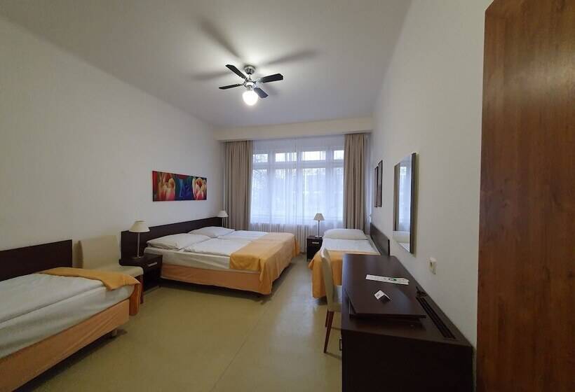 اتاق استاندارد چهارنفره با سرویس بهداشتی مشترک, Pension Jana   Domov Mládeže