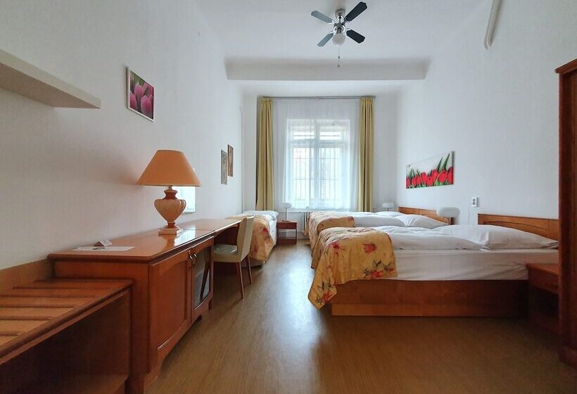 اتاق استاندارد چهارنفره با سرویس بهداشتی مشترک, Pension Jana   Domov Mládeže