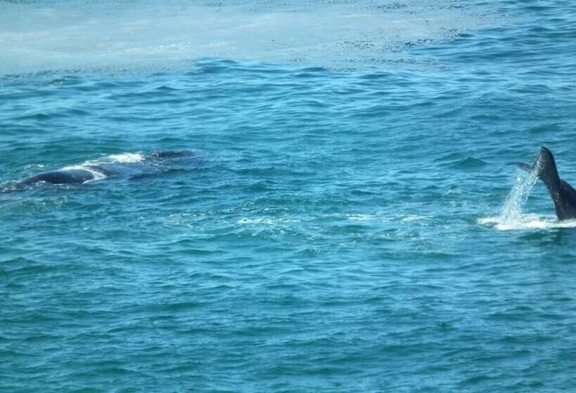 חדר פנטהאוז, Misty Waves Boutique