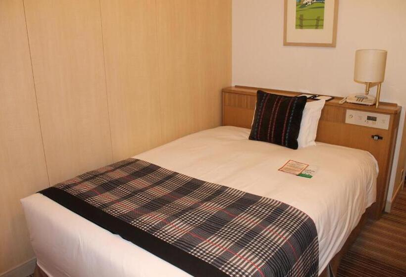 Номер Superior Одноместный, Nikko Northland Obihiro