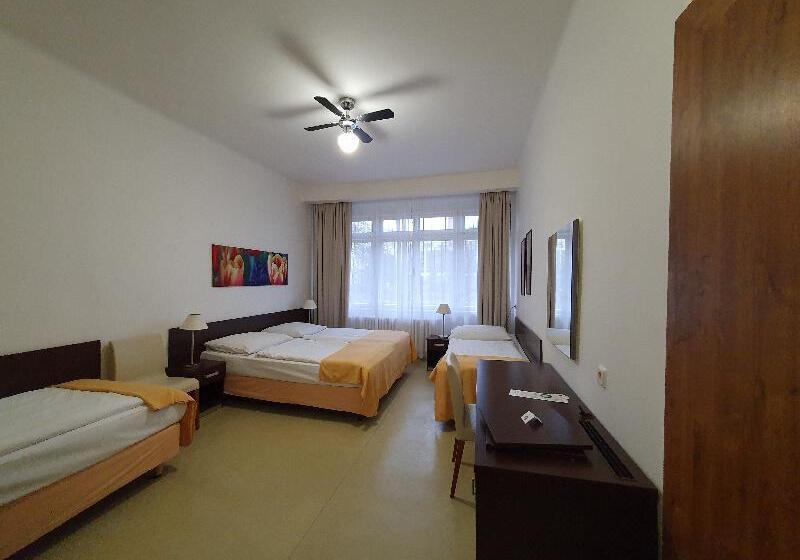 اتاق استاندارد چهارنفره با سرویس بهداشتی مشترک, Pension Jana   Domov Mládeže