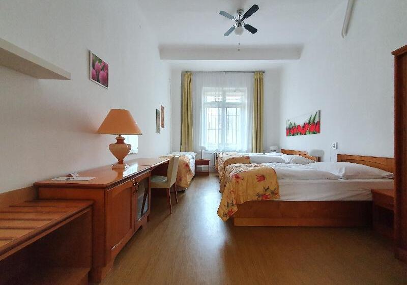 اتاق استاندارد چهارنفره با سرویس بهداشتی مشترک, Pension Jana   Domov Mládeže