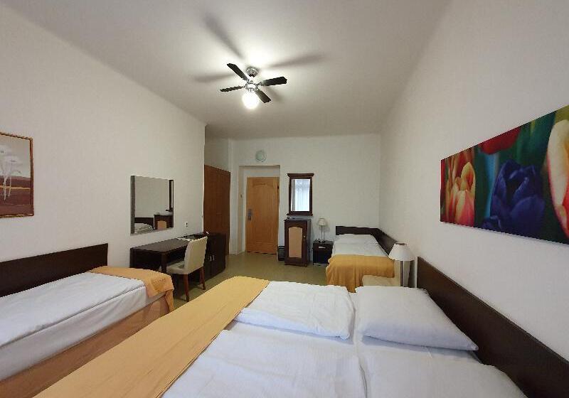 اتاق استاندارد چهارنفره با سرویس بهداشتی مشترک, Pension Jana   Domov Mládeže