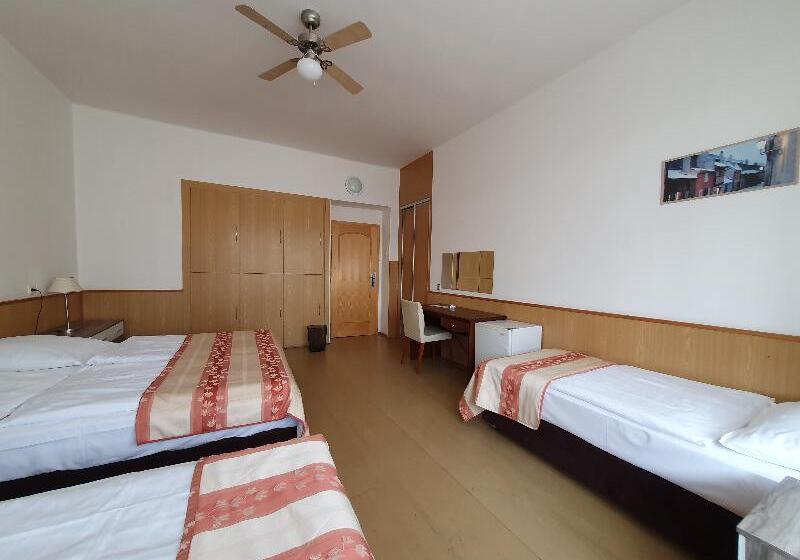 اتاق استاندارد چهارنفره با سرویس بهداشتی مشترک, Pension Jana   Domov Mládeže