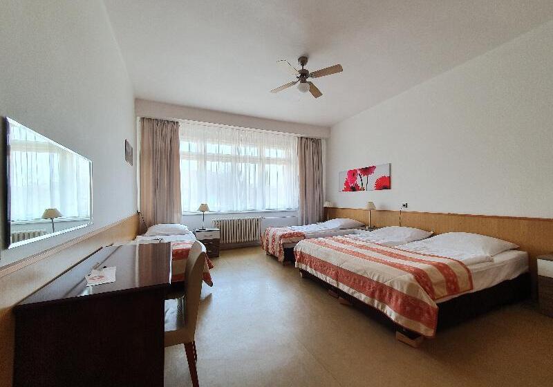 اتاق استاندارد چهارنفره با سرویس بهداشتی مشترک, Pension Jana   Domov Mládeže