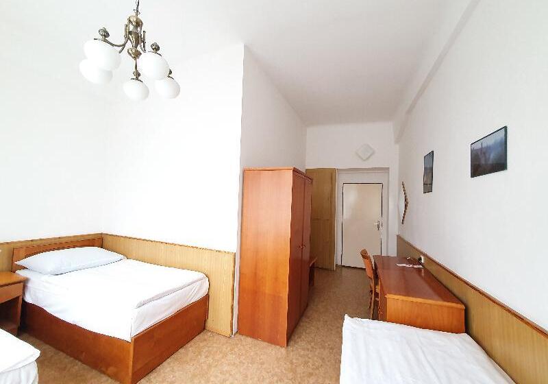 اتاق استاندارد سه تخته با سرویس بهداشتی مشترک, Pension Jana   Domov Mládeže