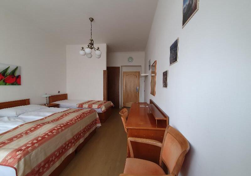 اتاق استاندارد سه تخته با سرویس بهداشتی مشترک, Pension Jana   Domov Mládeže