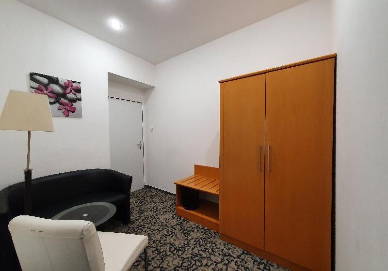 اتاق استاندارد سه تخته با سرویس بهداشتی مشترک, Pension Jana   Domov Mládeže