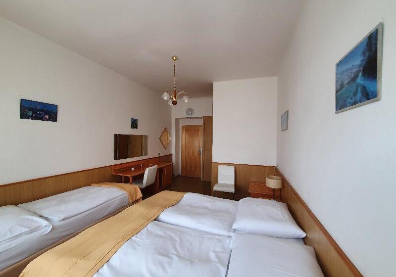 اتاق استاندارد سه تخته با سرویس بهداشتی مشترک, Pension Jana   Domov Mládeže