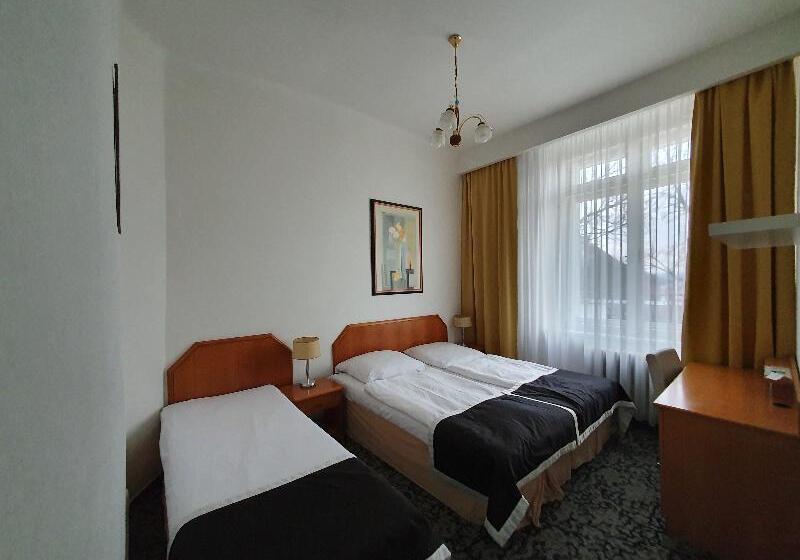 اتاق استاندارد سه تخته با سرویس بهداشتی مشترک, Pension Jana   Domov Mládeže