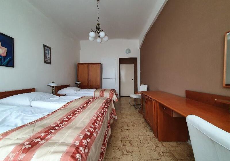 اتاق استاندارد سه تخته با سرویس بهداشتی مشترک, Pension Jana   Domov Mládeže