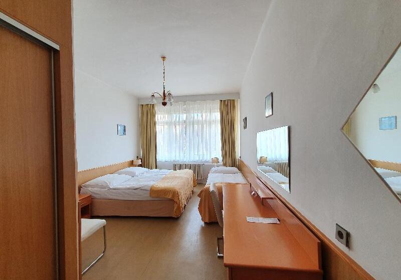 اتاق استاندارد سه تخته با سرویس بهداشتی مشترک, Pension Jana   Domov Mládeže
