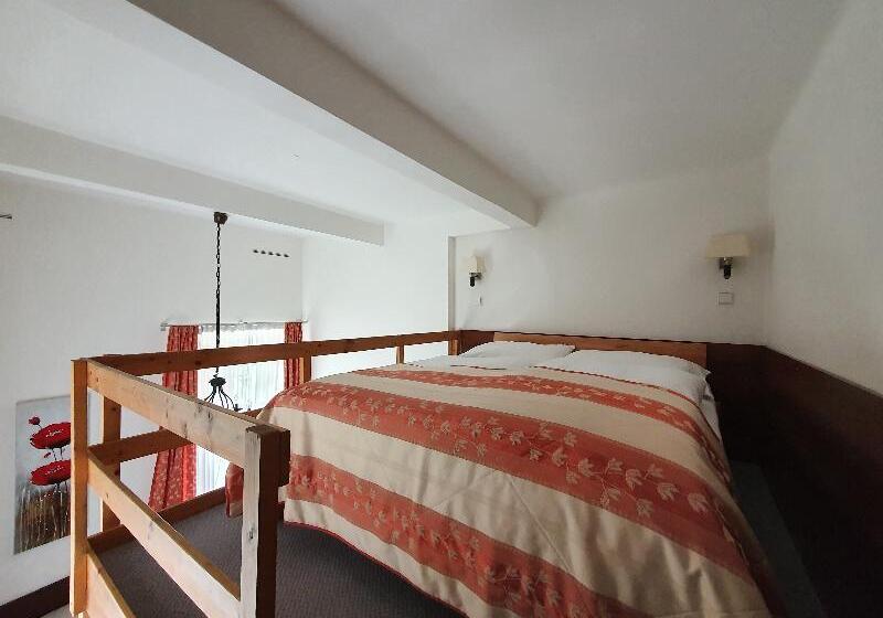 اتاق استاندارد سه نفره, Pension Jana   Domov Mládeže