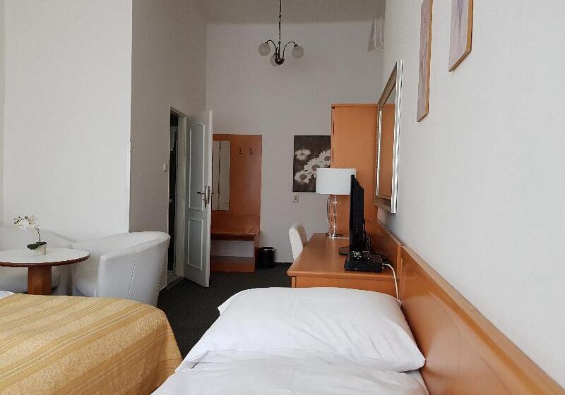 اتاق استاندارد سه نفره, Pension Jana   Domov Mládeže