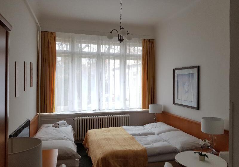 اتاق استاندارد سه نفره, Pension Jana   Domov Mládeže