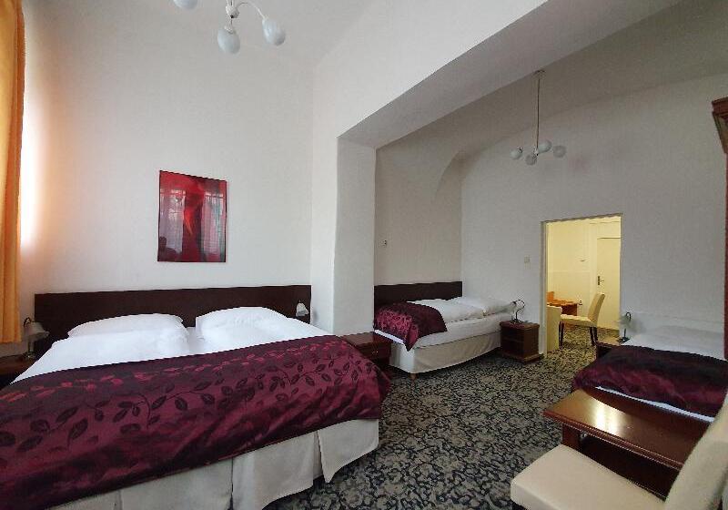 اتاق استاندارد چهار تخته, Pension Jana   Domov Mládeže