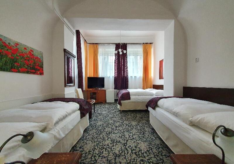 اتاق استاندارد چهار تخته, Pension Jana   Domov Mládeže