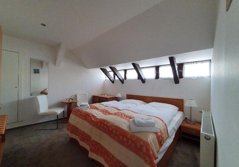 اتاق استاندارد چهار تخته, Pension Jana   Domov Mládeže