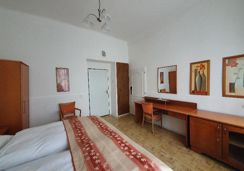 اتاق استاندارد چهار تخته, Pension Jana   Domov Mládeže