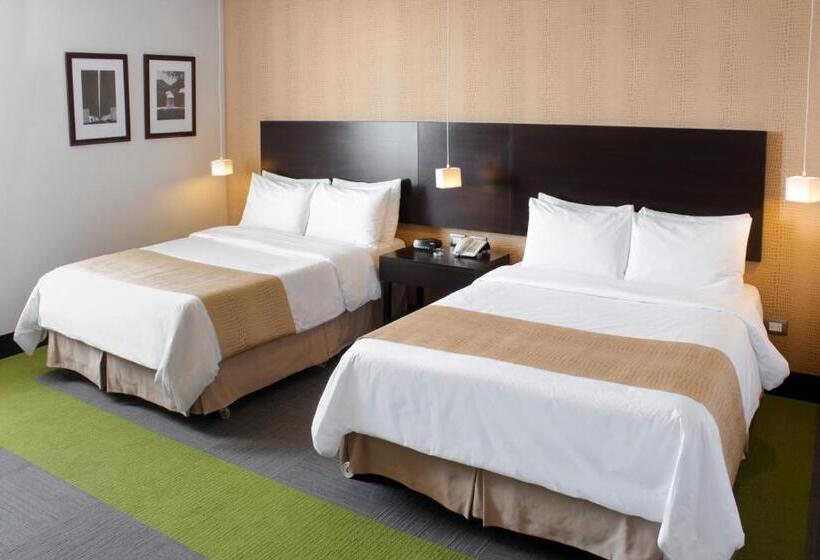 اتاق استاندارد, Trinitarias Suites