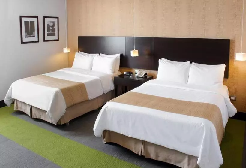 اتاق استاندارد, Trinitarias Suites