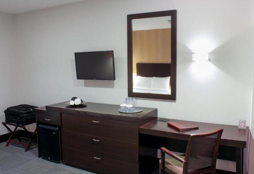 اتاق استاندارد, Trinitarias Suites