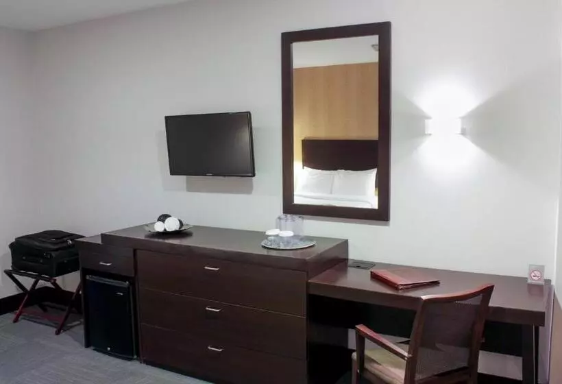 اتاق استاندارد, Trinitarias Suites