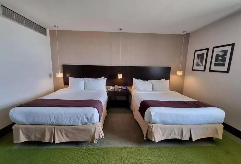 سوئیت پرزیدنت, Trinitarias Suites