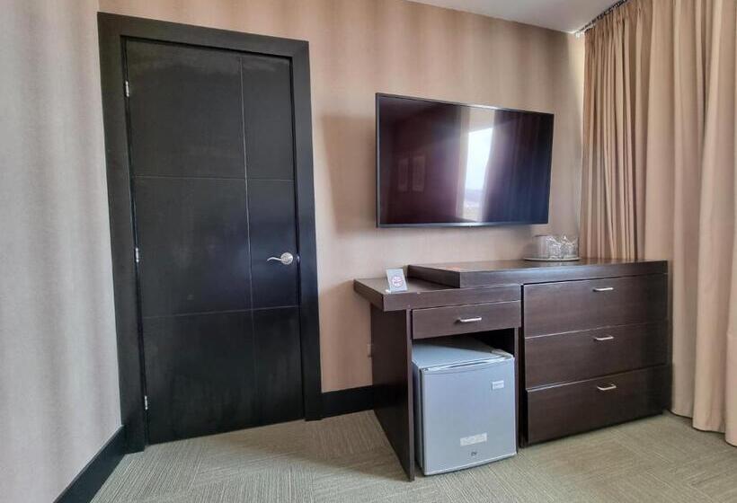 سوئیت پرزیدنت, Trinitarias Suites