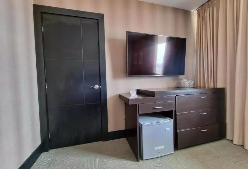 سوئیت پرزیدنت, Trinitarias Suites