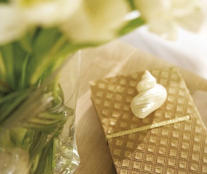 Habitación Estàndard Individual, Anessis