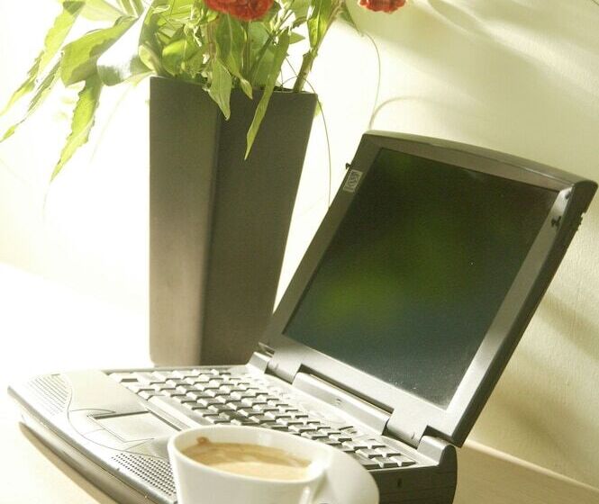 Habitación Estàndard Individual, Anessis