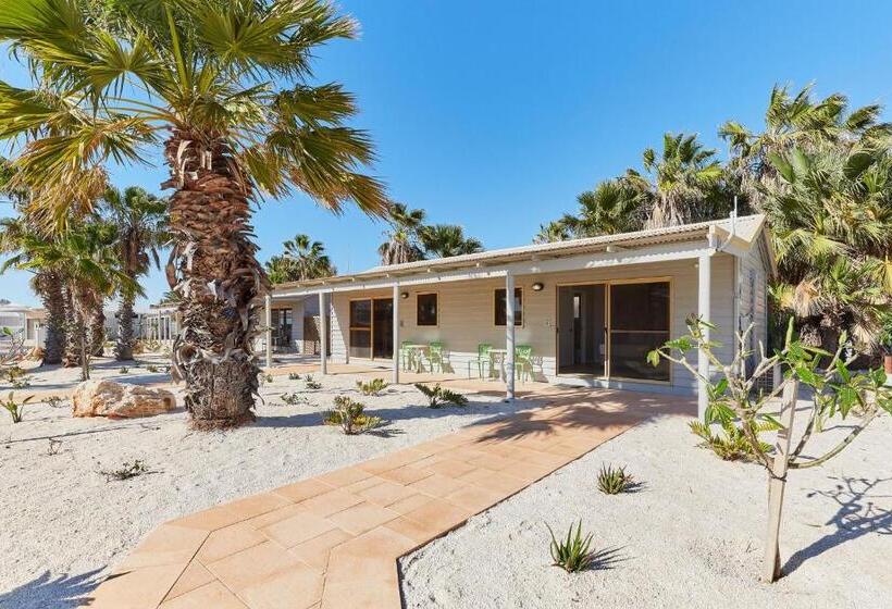 اتاق استاندارد با چشمانداز استخر, Rac Monkey Mia Dolphin Resort