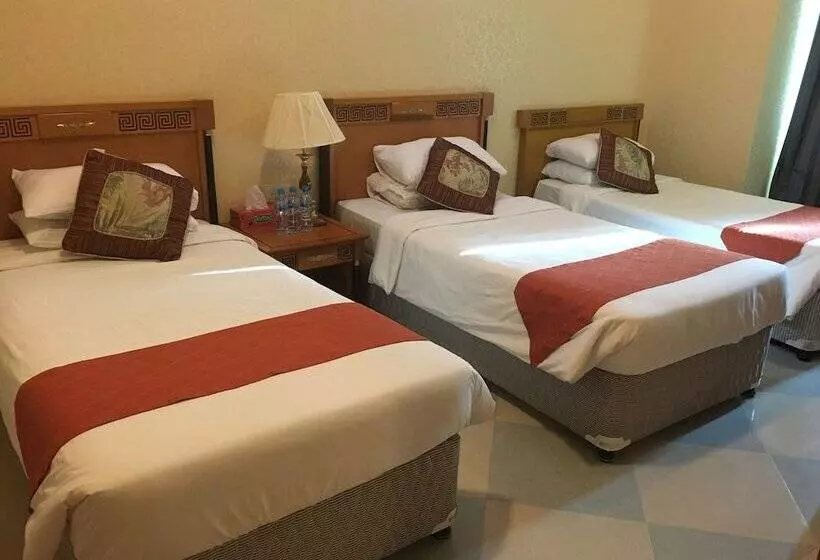 اتاق استاندارد سه نفره, Safari