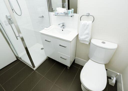 スタンダードルーム, Shoreline