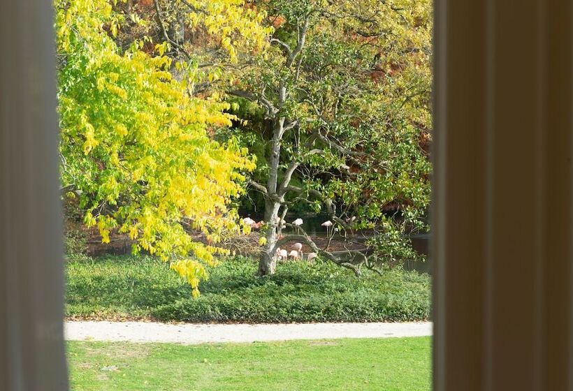 スーペリアースイート, Villa Abbondanzi Resort