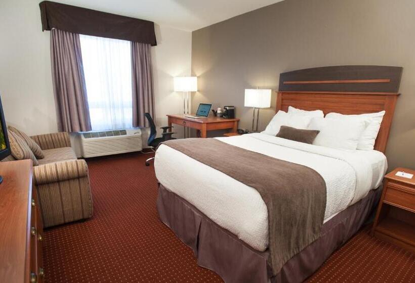 身障者適用スタンダードルーム, Best Western Plus Moncton