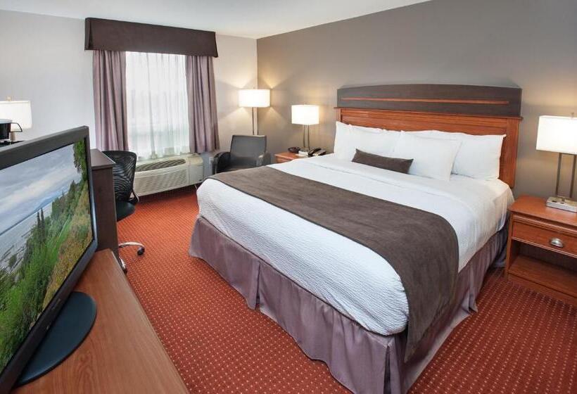 キングサイズベッドのスタンダードルーム, Best Western Plus Moncton