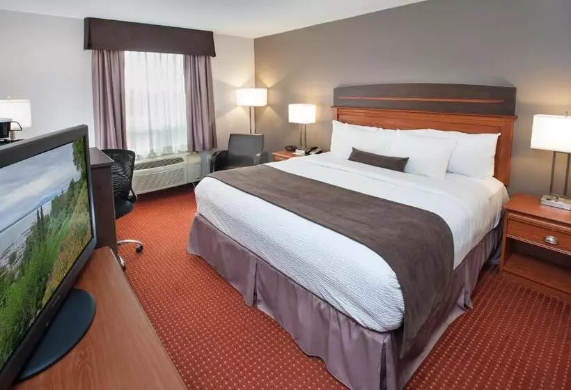 اتاق استاندارد با تخت بزرگ, Best Western Plus Moncton