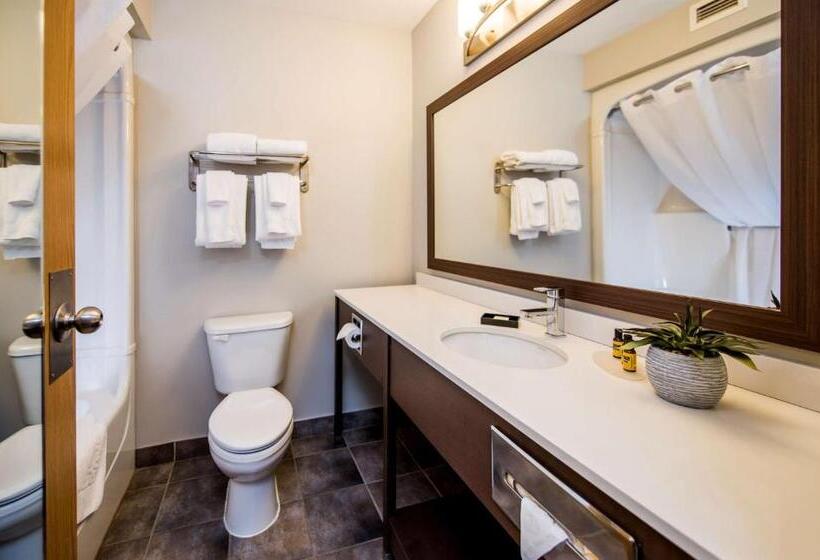 スタンダードルーム, Best Western Plus Moncton