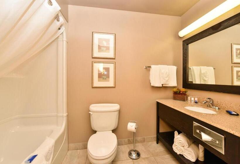 Люкс Повышенной Комфортности, Best Western Plus Moncton