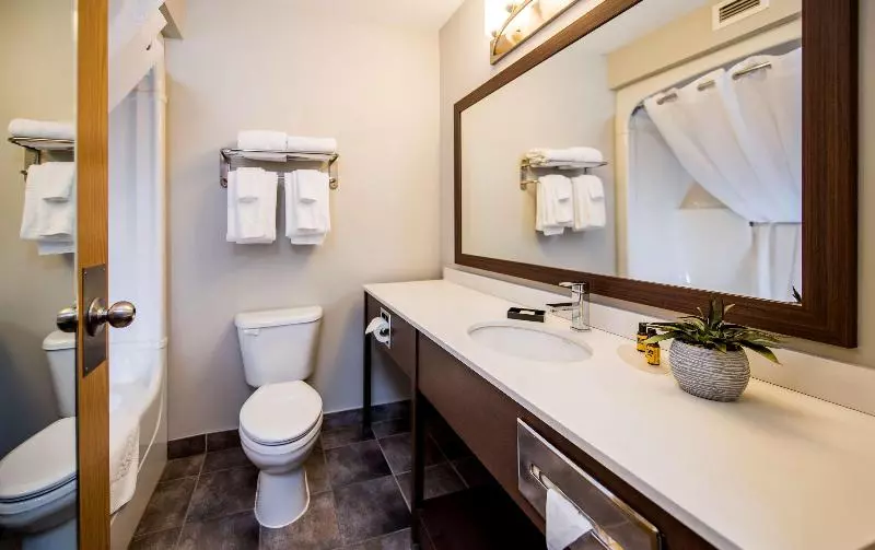 اتاق استاندارد با تخت بزرگ, Best Western Plus Moncton