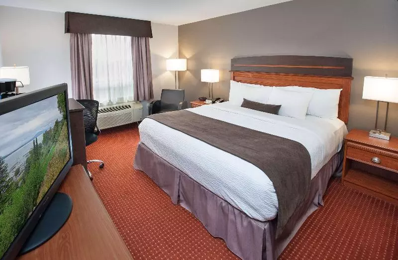 اتاق استاندارد با تخت بزرگ, Best Western Plus Moncton