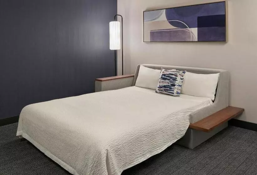 اتاق استاندارد با تخت بزرگ, Courtyard By Marriott Toronto Markham