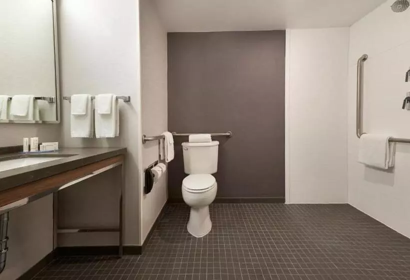 سوئیت با تخت بزرگ, Courtyard By Marriott Toronto Markham
