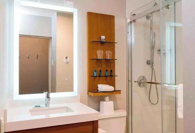 اتاق استاندارد با 2 تخت دوبل, Sonesta Hotel Grand Rapids Airport