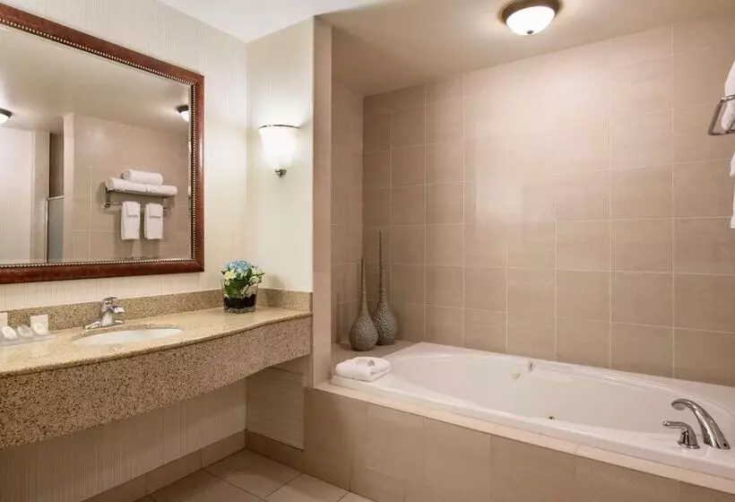 سوییت, Hilton Garden Inn West Edmonton