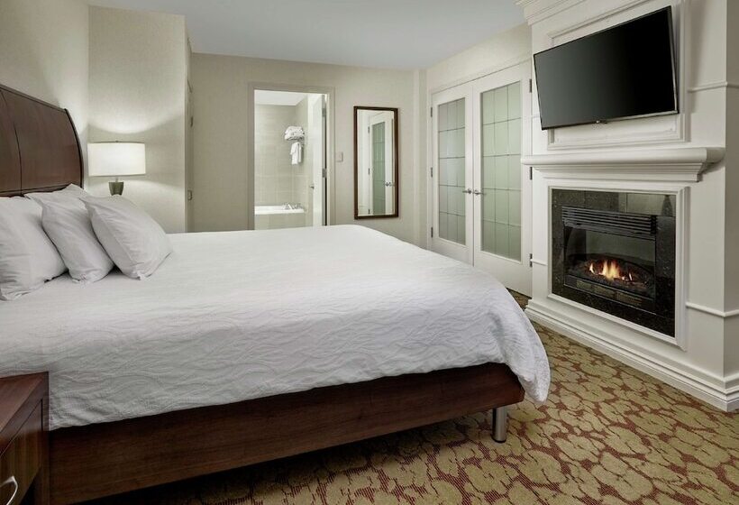 スイート, Hilton Garden Inn West Edmonton