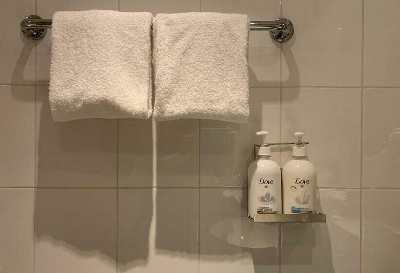 プレミアムルーム, Holiday Inn   Salzburg City, An Ihg
